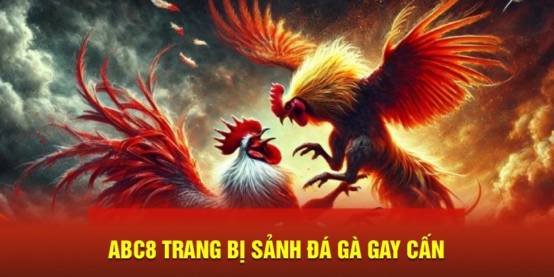 ABC8 trang bị sảnh đá gà gay cấn