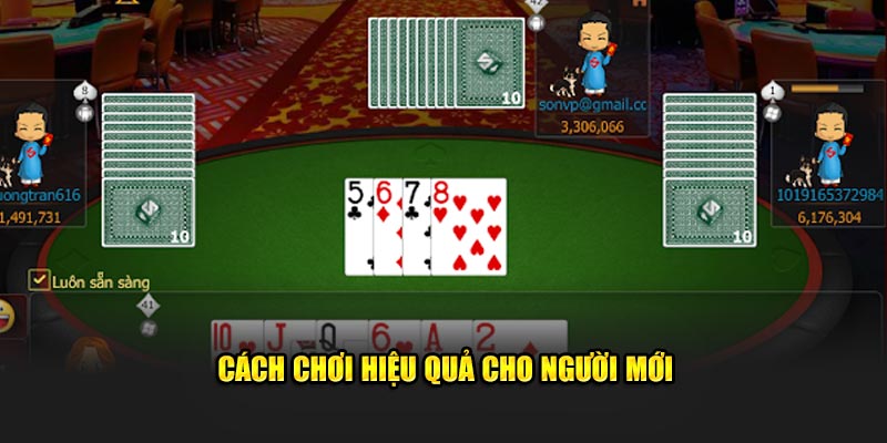 Cách đánh hiệu quả cho người mới tìm hiểu