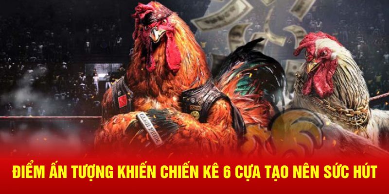 Điểm ấn tượng khiến chiến kê 6 cựa tạo nên sức hút