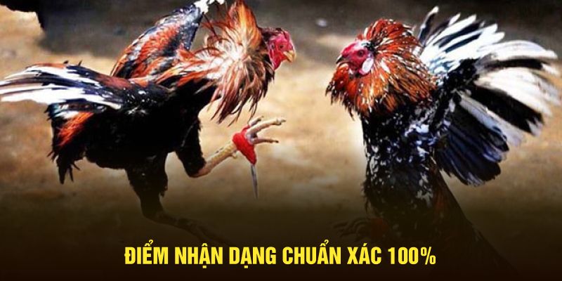 Điểm nhận dạng chuẩn xác 100%