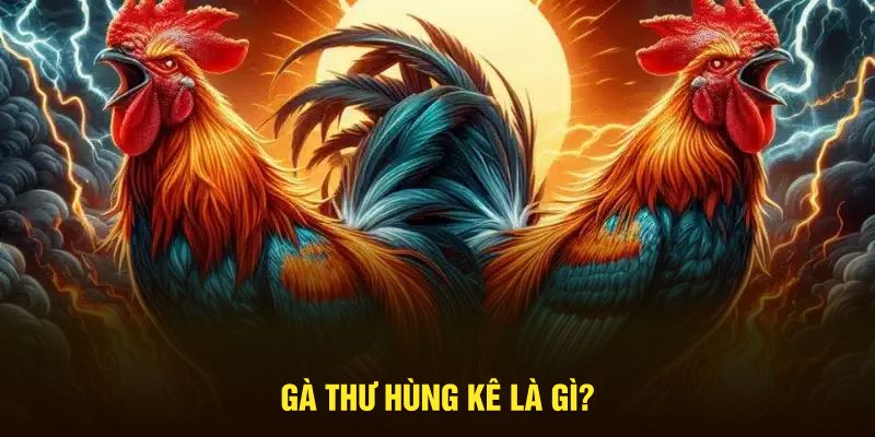 Gà Thư Hùng Kê là gì?