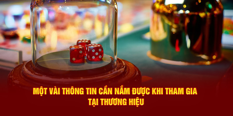 Một vài thông tin cần nắm được khi tham gia tại thương hiệu